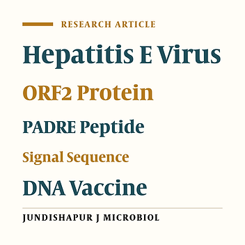 Design, Construction and Cloning of Truncated ORF2 and tPAsp-PADRE-Truncated ORF2 Gene Cassette From Hepatitis E Virus in the pVAX1 Expression Vector