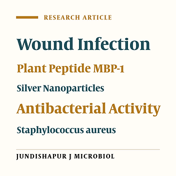 Synergistic Antibacterial Activity of Plant Peptide MBP-1 and Silver Nanoparticles Combination on Healing of Infected Wound Due to Staphylococcus aureus