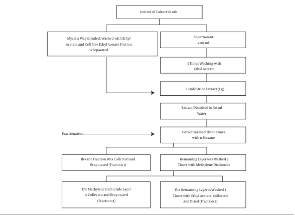 Schematic Representation of Cultivation, Extraction, and Fractionation of the Bioactive Compounds of <i>Chaetomium</i> sp. NF15 Schematic Representation of Cultivation, Extraction, and Fractionation of the Bioactive Compounds of <i>Chaetomium</i> sp. NF15