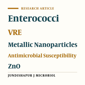 Enhancing the Anti-Enterococci Activity of Different Antibiotics by Combining With Metal Oxide Nanoparticles