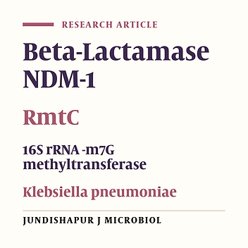 Cover image of the article: NDM-1 and rmtC-Producing Klebsiella pneumoniae Isolates in Turkey