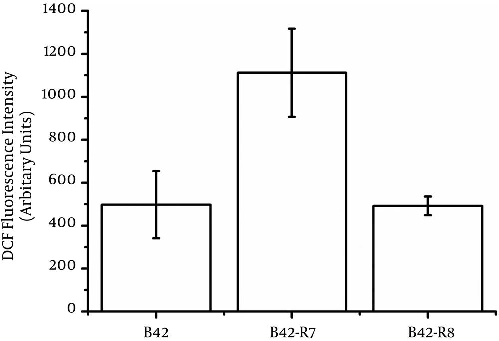 Intracellular ROS Levels in <i>E. faecium</i> B42 (Wild-Type Strain), B42-R7 (<i>rpoB</i>-H489D) and B42-R8 (<i>rpoB</i>-H489P) The bacteria were incubated with 1 µM DCFH-DA for 30 min at 37°C and washed with PBS. The fluorescence in the solution was measured using a spectrofluorometer (excitation, 500 nm; emission, 530 nm).