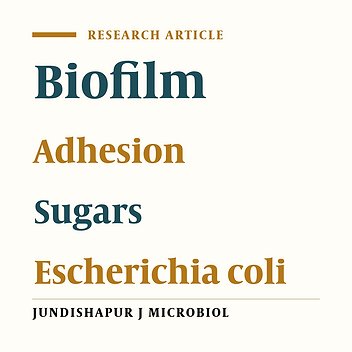 Cover image of the article: The Effects of Sugars on the Biofilm Formation of Escherichia coli 185p on Stainless Steel and Polyethylene Terephthalate Surfaces in a Laboratory Model