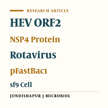 Designing, Construction and Expression of a Recombinant Fusion Protein Comprising the Hepatitis E Virus ORF2 and Rotavirus NSP4 in the Baculovirus Expression System