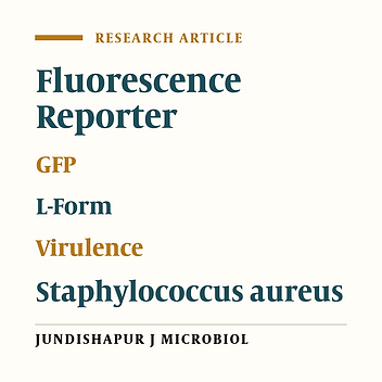 Fluorescence Reporter in Staphylococcus aureus as a Useful Tool for Studying L-forms and Virulence