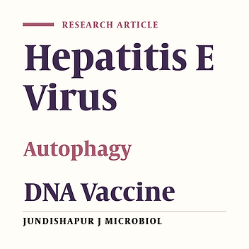 Enhancement of Hepatitis E Virus DNA Vaccine Immunity by Beclin-1- Mediated Autophagy