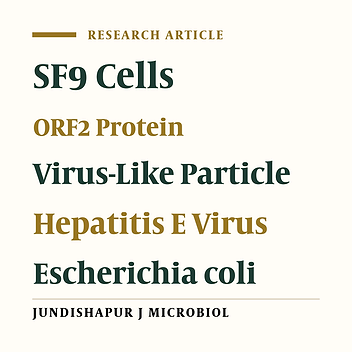 A Study on the Virus-Like Particle Formation of Hepatitis E Virus ORF2 and Rotavirus NSP4 Protein in the Eukaryotic and Prokaryotic Expression Systems