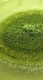Cover image of the article: In vitro Evaluation of the Effects of Fluconazole and Nano-Fluconazole on Aspergillus flavus and A. fumigatus Isolates