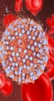 A Decline in Anti-Core+1 Antibody Titer Occurs in Successful Treatment of Patients Infected with Hepatitis C Virus
