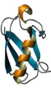 Cover image of the article: The Effect of Ubiquitin Like Protein-Proteasome System on the Drug Resistance of Isoniazid Mono-Resistant Mycobacterium tuberculosis