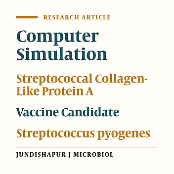 In Silico Investigation for Evaluation of the Potential of the SclA Protein in Streptococcus pyogenes