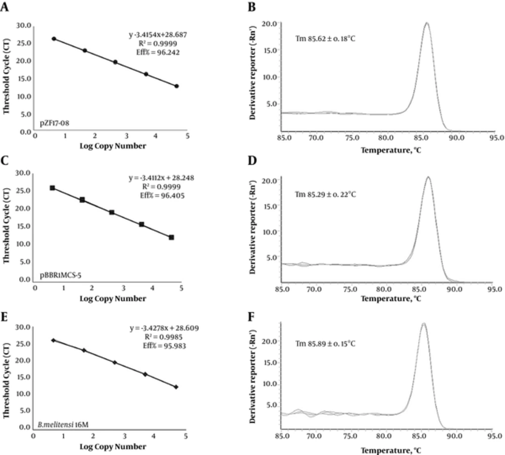 The Standard Curve and Melt Curve Graph The r-square, slope, and intersection values of (A) pZF17-08, (<a href="#A60269REF6">6</a>) pBBR1MCS-5, and (E) <i>B. melitensis</i> of qPCR tests. The melt curves of (B) pZF17-08, (D), pBBR1MCS-5, and (F) <i>B. melitensis</i> are also shown in this figure.