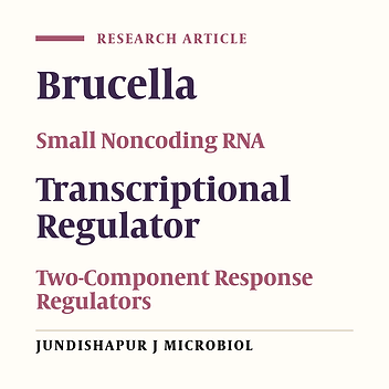 Small Noncoding RNA AbcR1 Addressing Multiple Target mRNAs From Transcriptional Factor and Two-Component Response Regulator of Brucella melitensis