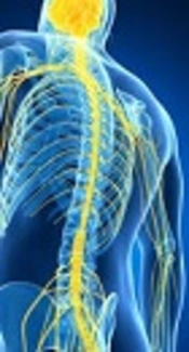 Classification of Pathogenic Bacteria in Cerebrospinal Fluid of Patients with Intracranial Infection After Neurosurgery and Selective Use of Antibacterial Agents