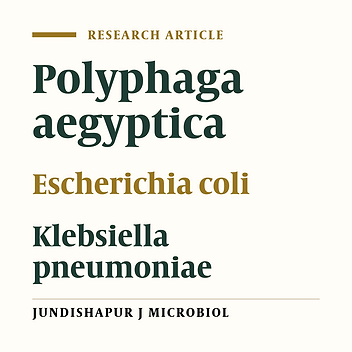 Identification of bacteria which possible transmitted by Polyphaga aegyptica (Blattodea: Blattidae) in the region of Ahvaz, SW Iran