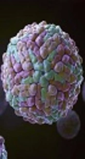 Cover image of the article: Antiviral Activity of Thiazolide Derivatives Against Dengue Virus in Huh-7 Cell Line