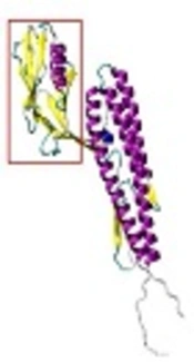 Design of a Universal Influenza A Vaccine Candidate Based on M2e.FliC; Immunoinformatics Analysis, Protein Modeling, and Its Expression in Escherichia coli