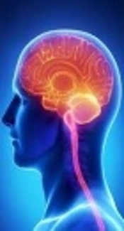 Meningitis Caused by Enterococcus gallinarum in an Immunocompetent Host