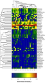 Fecal Microbiota, Lactic Acid and Short Chain Fatty Levels of Infants Following Rotavirus Infection Revealed by Illumina Miseq High-Throughput Sequencing and HPLC Method