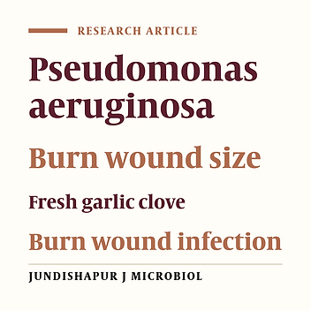 Clinical study on the efficacy of orally administered crushed fresh garlic in controlling Pseudomonas aeruginosa infection in burn patients with varying burn degrees