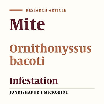 A case report of tropical rat mite infestation Ornithonyssus bacoti (Dermanyssidae: Acarina) in Ahvaz, SW Iran