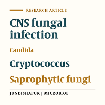 Central nervous system fungal infections; a review article