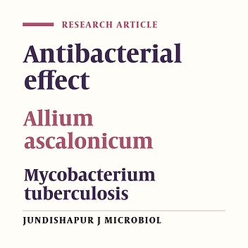 Antimycobacterial activity of partial purified extract of Allium ascalonicum