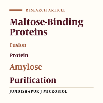 Using Rice Flour for Purification of Maltose Binding Fusion Proteins Expressed in Escherichia coli