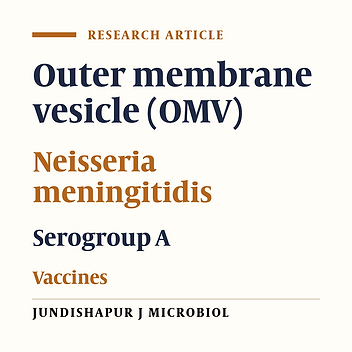 Biological and Immunological Evaluation of Neisseria meningitidis Serogroup A Outer Membrane Vesicle as Vaccine Candidates