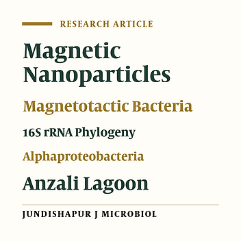 Isolation and Characterization of a Novel Magnetotactic Bacterium from Iran: Iron Uptake and Producing Magnetic Nanoparticles in Alphaproteobacterium MTB-KTN90