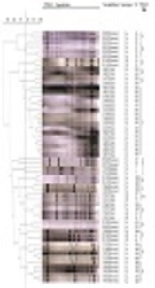 Genetic Diversity of Streptococcus agalactiae from Multiple Host Species in China