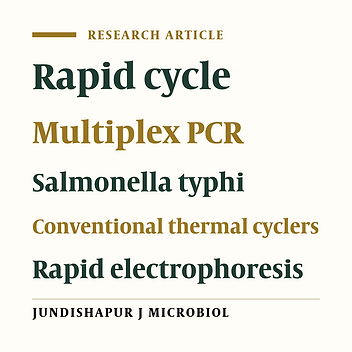 Detection of Salmonella strain by rapid-cycle multiplex PCR