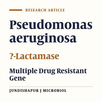Prevalence of ?-Lactamase Production and Antimicrobial Susceptibility of Multidrug Resistant Clinical Isolates of Non-Fermenting Gram Negative Bacteria From Hospitalized Patients in Kerman/Iran
