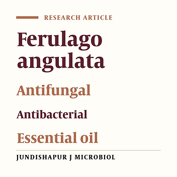 Antimicrobial activity of essential oils of Ferulago angulata subsp. carduchorum
