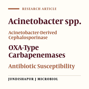 Multi-Drug Resistant Acinetobacter-Derived Cephalosporinase and OXAsetC Genes in Clinical Specimens of Acinetobacter spp. Isolated From Teaching Hospital