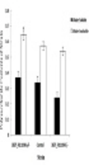Identification of DR75-RS11090 Gene Encoding GGDEF Domains, and its Role in Enterococcus faecalis