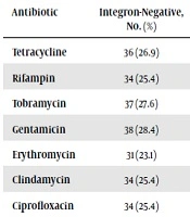 The First Report of Prevalence of Class 1-3 Integrons in Clinical Isolates of Staphylococcus aureus in Southwestern Iran: A Multicenter Study
