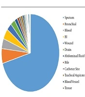 Antibiotic Resistance Surveillance of Clinical Isolates of Stenotrophomonas maltophilia Strains in the Central South of China from 2016 to 2019