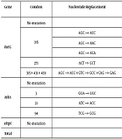Genotypic Characterization of katG, inhA, and ahpC in Isoniazid-Resistant Mycobacterium tuberculosis Clinical Isolates in Shanghai, China
