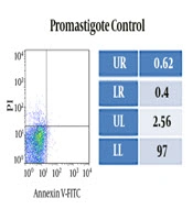 Assessment of the Effect of Lactoferrin on Promastigote and Amastigote Forms of Leishmania major In Vitro