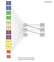 Quantitative Assessment of an Artificial Neural Network for the Variation in Immunity to Salmonella Infection Among Sudanese and Chinese Populations and the Relationship Between HLA-DQB1 and Antibody: A Preliminary Study