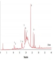 In Vitro Enzyme Inhibitory and Antioxidant Properties, Cytotoxicity, and LC-DAD-ESI-MS/MS Profile of Extracts from the Halophyte Lotus creticus L.