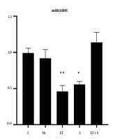 The Effect of Eight Weeks of Endurance Training with Saffron on miR133bFC, miR29aFC in the Hippocampus Tissue and Depression in Rats with Alzheimer’s Disease