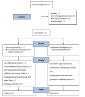 The Effect of Rectal Suppository of Anethum graveolens on the Postpartum Hemorrhage Rate: Evidence from a Single-Blind Clinical Trial Study