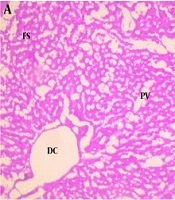 Potassium Dichromate-Induced Hepato- and Hematotoxicity in Rats: Nutritive Composition and Ameliorative Role of Acacia nilotica L. Leaf