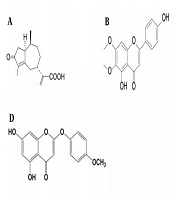 The Effects of Artemisia Plant and Its Components Against Respiratory Viruses Like Influenza and Their Mechanisms of Action
