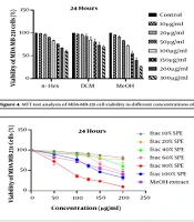 The Fractions of Eryngium thyrsoideum Extract Sensitize Breast Cancer Cells to Apoptosis