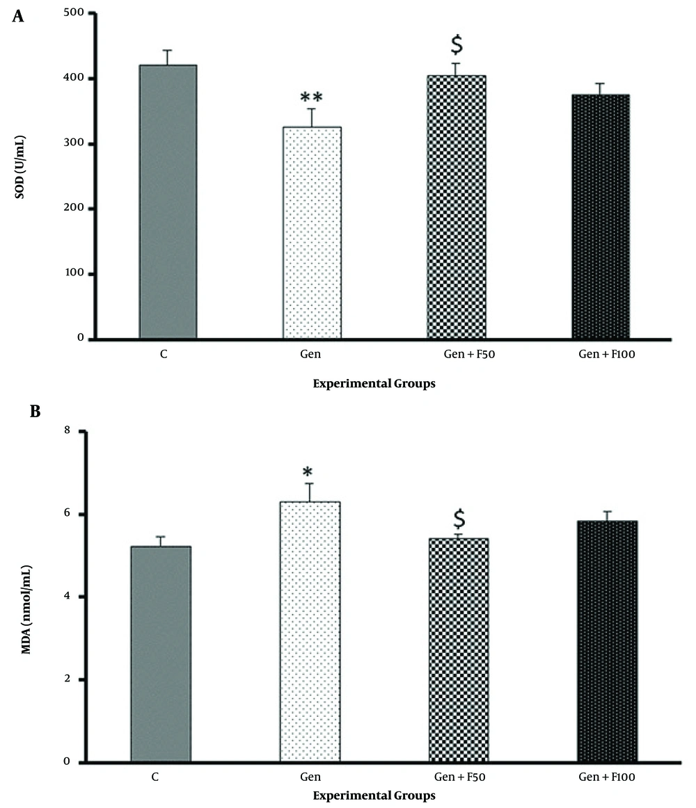 The effect of fucoidan treatment on gentamicin-induced changes in superoxide dismutase activity (A) and malondialdehyde level (B). Abbreviations: C, control; Gen, gentamicin (100 mg/kg/day; IP for 8 days); Gen+F50, 50 mg/kg/day of fucoidan by oral gavage, 30 minutes before gentamicin administration; Gen+F100, 100 mg/kg/day of fucoidan by oral gavage, 30 minutes before gentamicin administration. Values are expressed as mean (SEM). * P < 0.05 vs control group, ** P < 0.01 vs control group, and $ P < 0.05 vs gentamicin group. The effect of fucoidan treatment on gentamicin-induced changes in superoxide dismutase activity (A) and malondialdehyde level (B). Abbreviations: C, control; Gen, gentamicin (100 mg/kg/day; IP for 8 days); Gen+F50, 50 mg/kg/day of fucoidan by oral gavage, 30 minutes before gentamicin administration; Gen+F100, 100 mg/kg/day of fucoidan by oral gavage, 30 minutes before gentamicin administration. Values are expressed as mean (SEM). * P < 0.05 vs control group, ** P < 0.01 vs control group, and $ P < 0.05 vs gentamicin group.