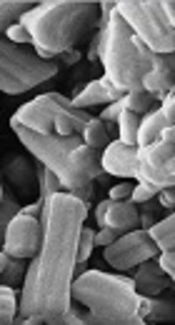 An Alternative Approach for Improved Entrapment Efficiency of Hydrophilic Drug Substance in PLGA Nanoparticles by Interfacial Polymer Deposition Following Solvent Displacement