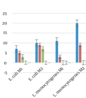 Antimicrobial and Antioxidant Properties of Natural Postbiotics Derived from Five Lactic Acid Bacteria